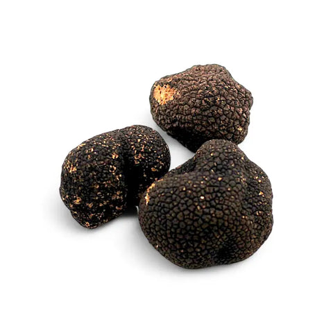 showing product picture of fresh autumn truffle tuber uncinatum extra-grade