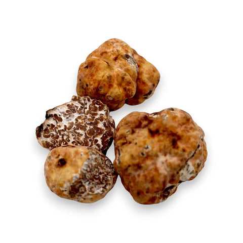 showing image of fresh white truffle tuber borchii