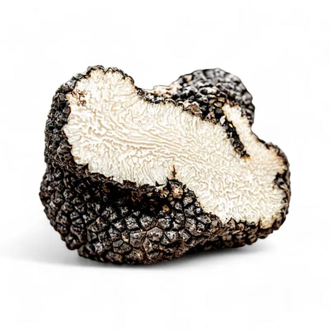 showing product picture of fresh summer truffle tuber aestivum