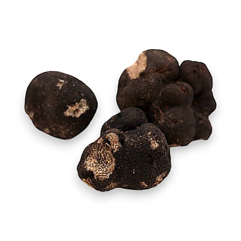 showing image of fresh winter truffle tuber brumale b-grade