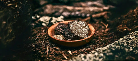 Black truffles in a rustic wooden bowl featured in The Ultimate Truffle Guide for Restaurateurs