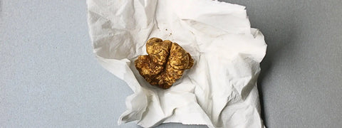Golden truffle on white paper for professional truffle storage techniques guide