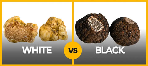 White and black truffles comparison highlighting key differences in appearance and texture