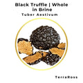 Black truffle in brine from Tubaross brand, Whole in Brine product