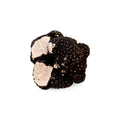 showing product picture of fresh summer truffle tuber aestivum c-grade