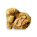 Rough earthy white truffle with marbled interior, fresh Tuber Magnatum for gourmet dishes