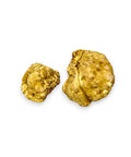 Two golden fresh white truffles Tuber Magnatum in medium size for gourmet dishes