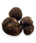 Fresh winter Tuber Brumale black truffle cluster with rough textured surfaces